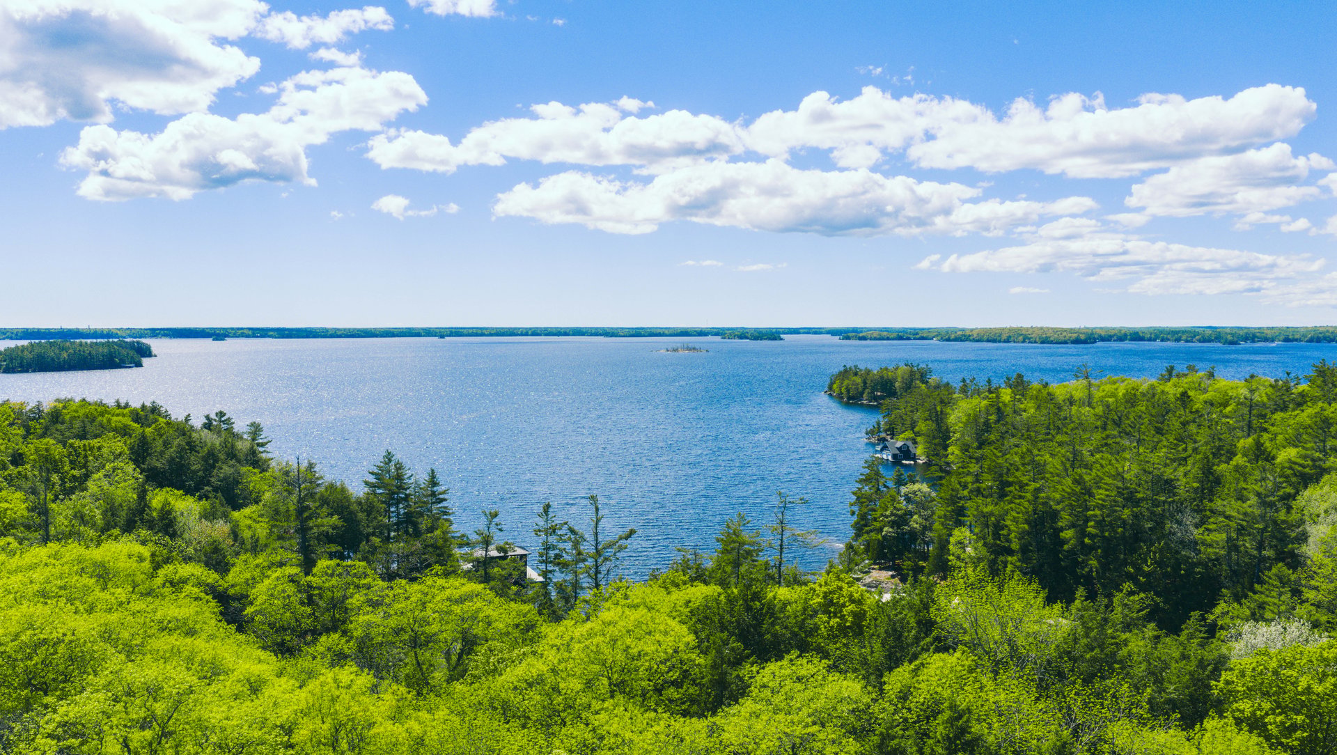 Viewpoint Trail
