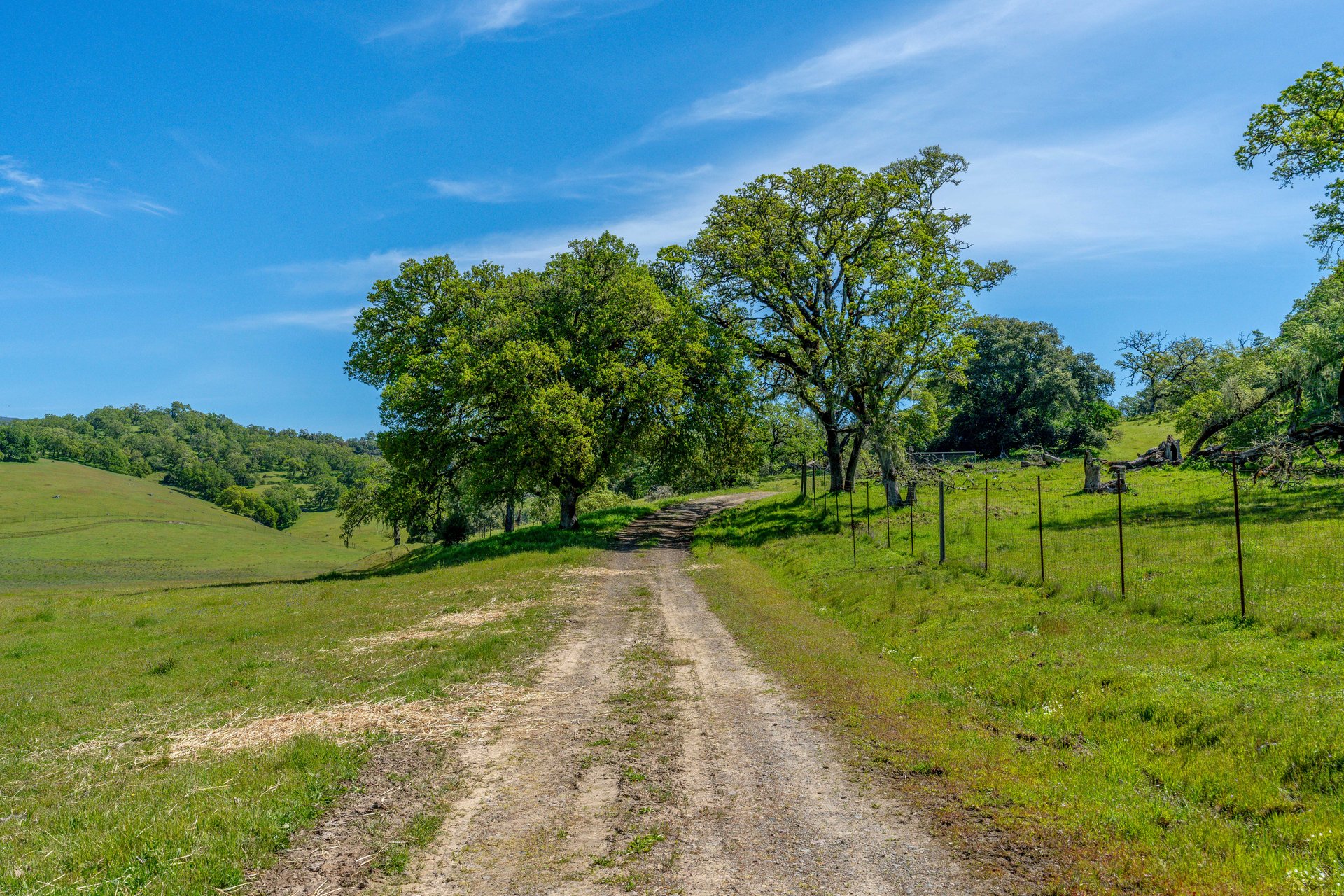 The Hopland Hills Ranch