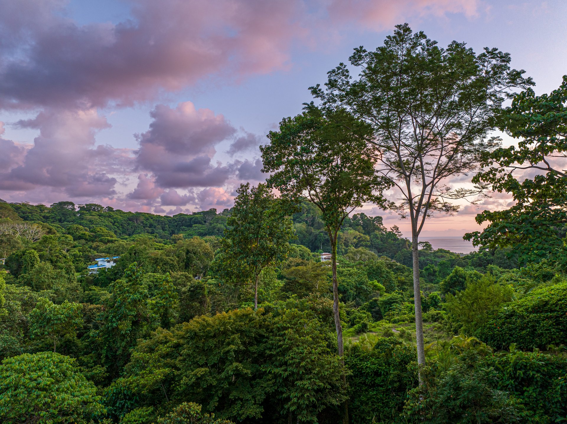 4 Bedroom Jungle Paradise with Ocean Views