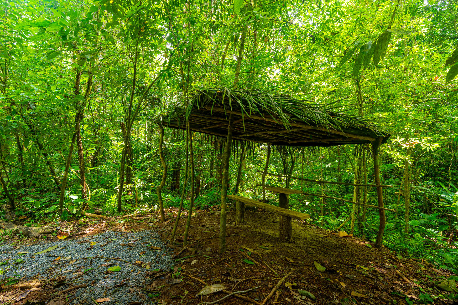Amazing Mountain View and Ocean View House and Guest House on 4.5 Acres of land in Ojochal