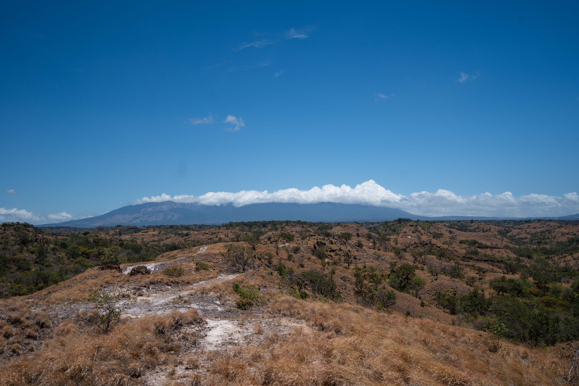 Hacienda Ruiseg | A Stunning Farm and Sprawling Countryside Retreat in Costa Rica