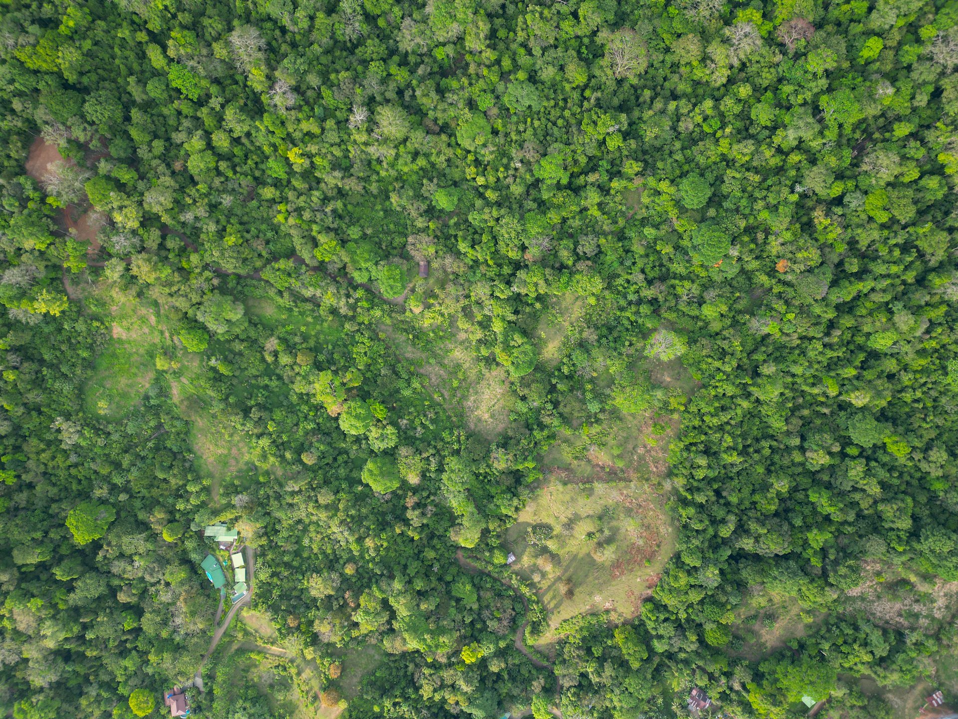 Build Your Vision in Uvita – 15.9 Ocean View Acres with Easy Access + Utilities Ready!