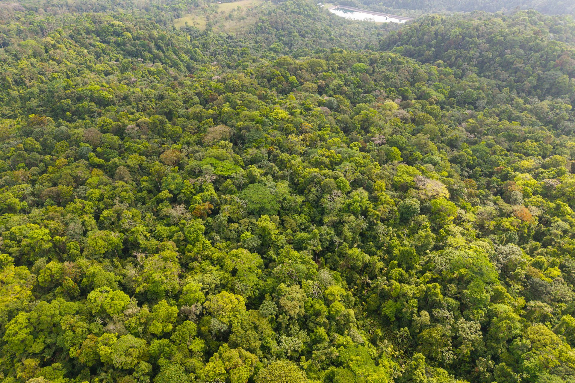 Finca Gran Bijagua | Breathtaking 10-Hectare Mountain Sanctuary in Bijagua, Costa Rica