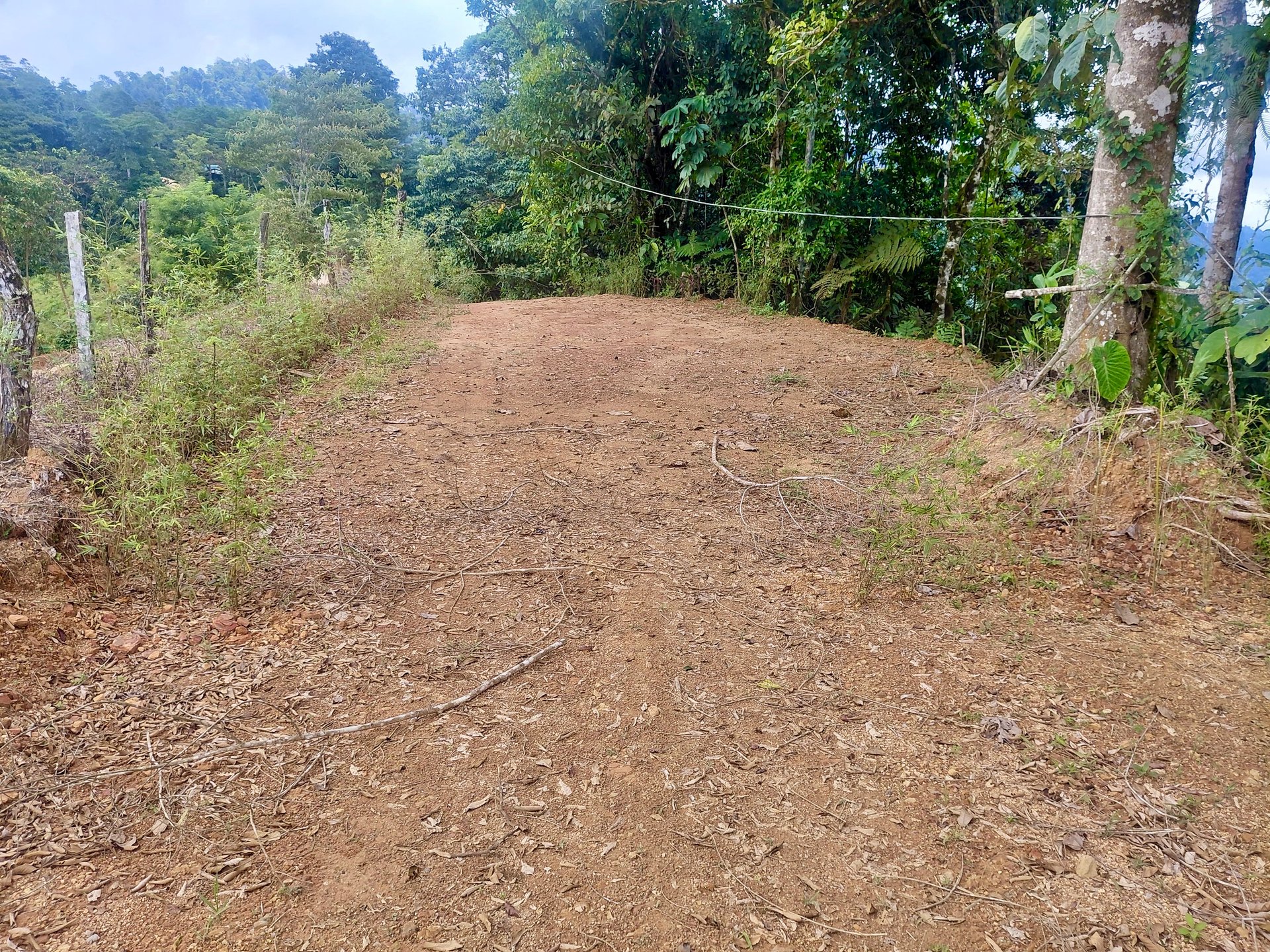 Motivated Seller | Ocean View Lot in San Luis de Morete, Uvita