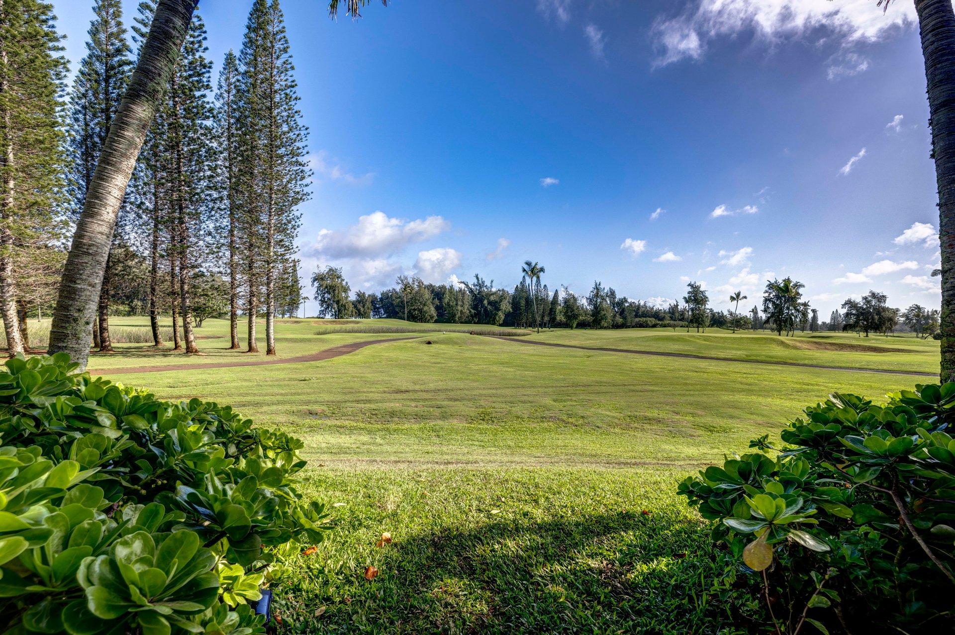 Turtle Bay Kuilima Collection 101 East