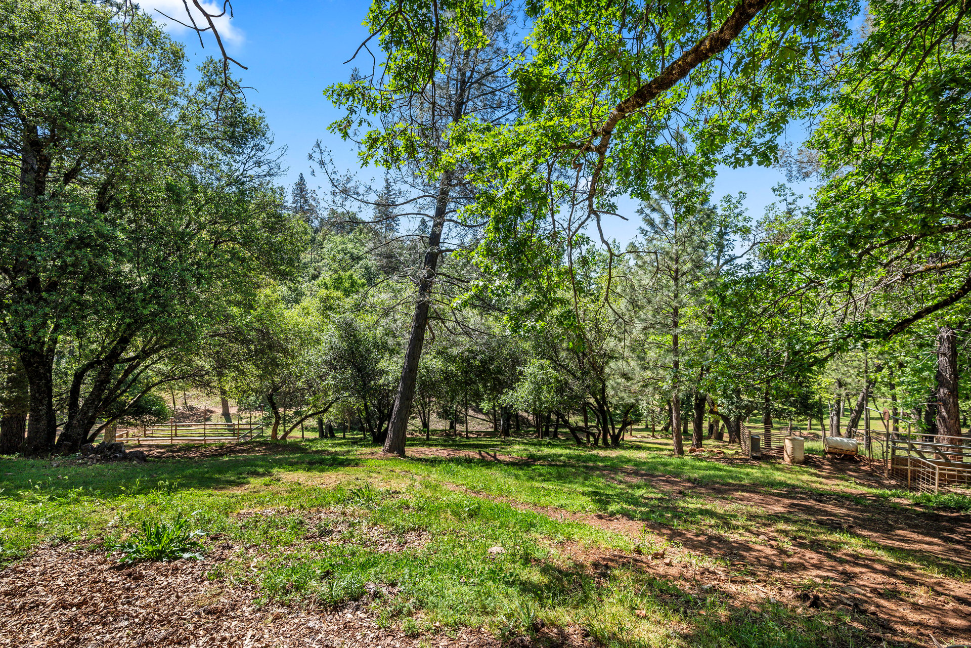 2405 No Walk Rd, Placerville