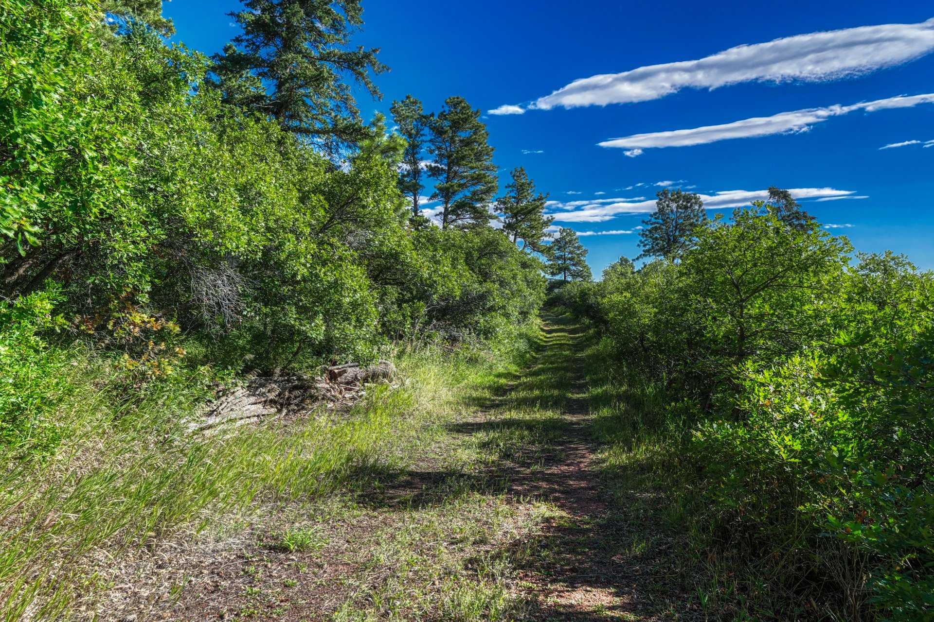 00 Columbine Road