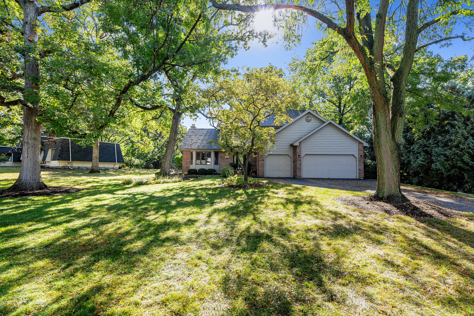 346 Meadowrue Lane
