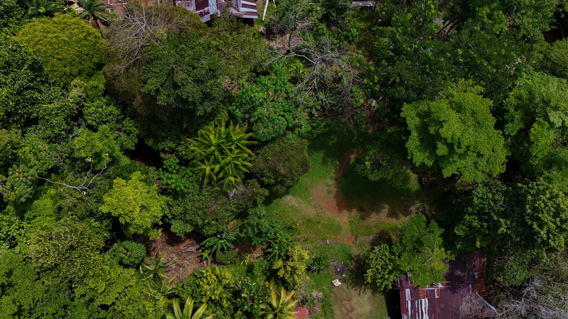 1.2- ACRE Mountain View Property with creek in  La Union Road, Uvita