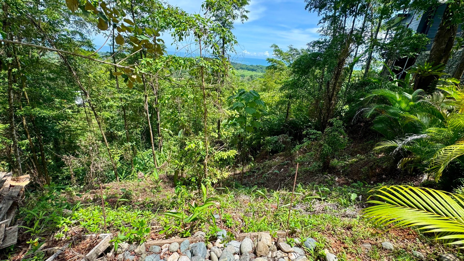 Exclusive and Unique Ocean Views lot in the Hills of Uvita!