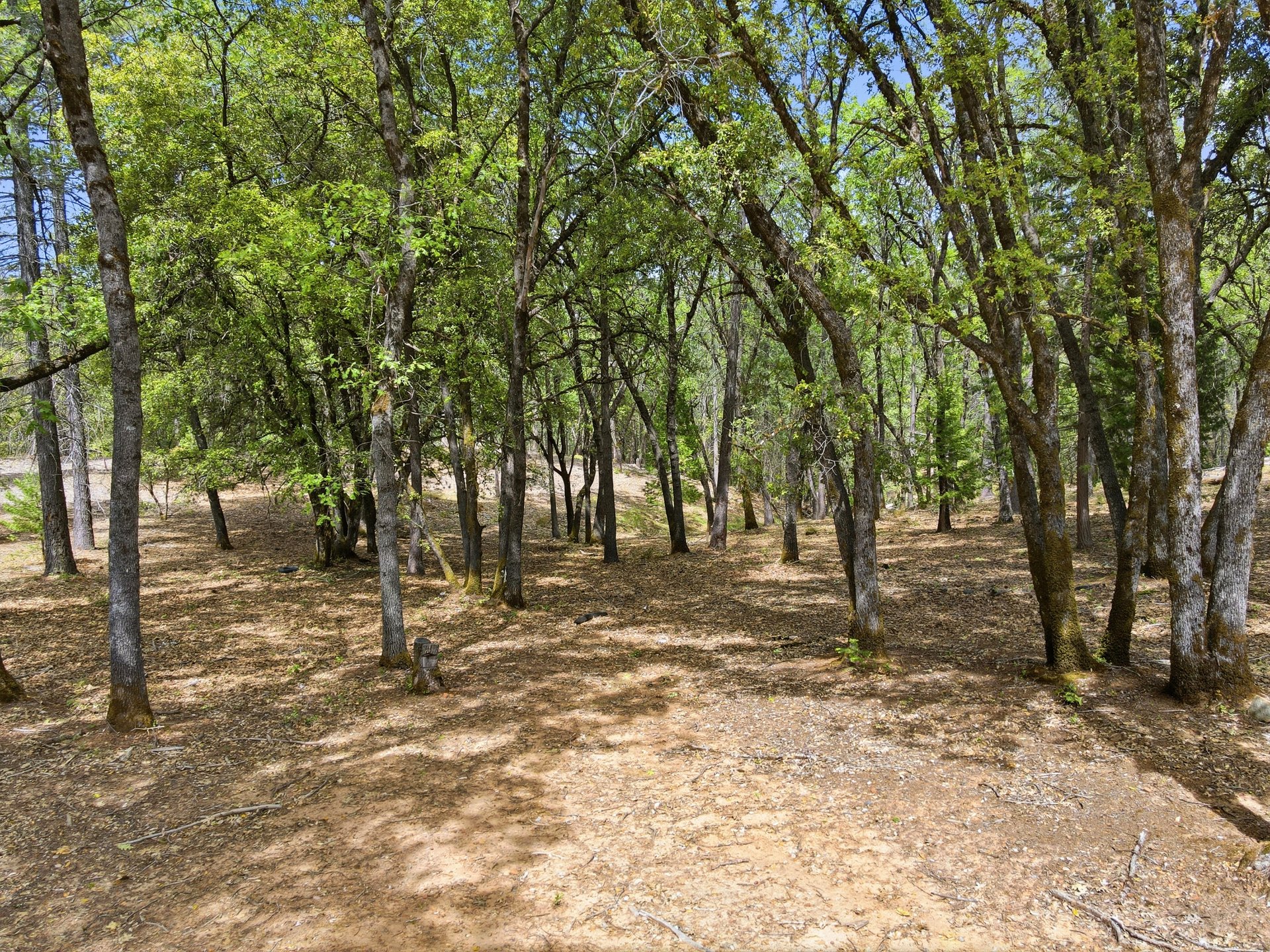 1451 Big Oak Rd