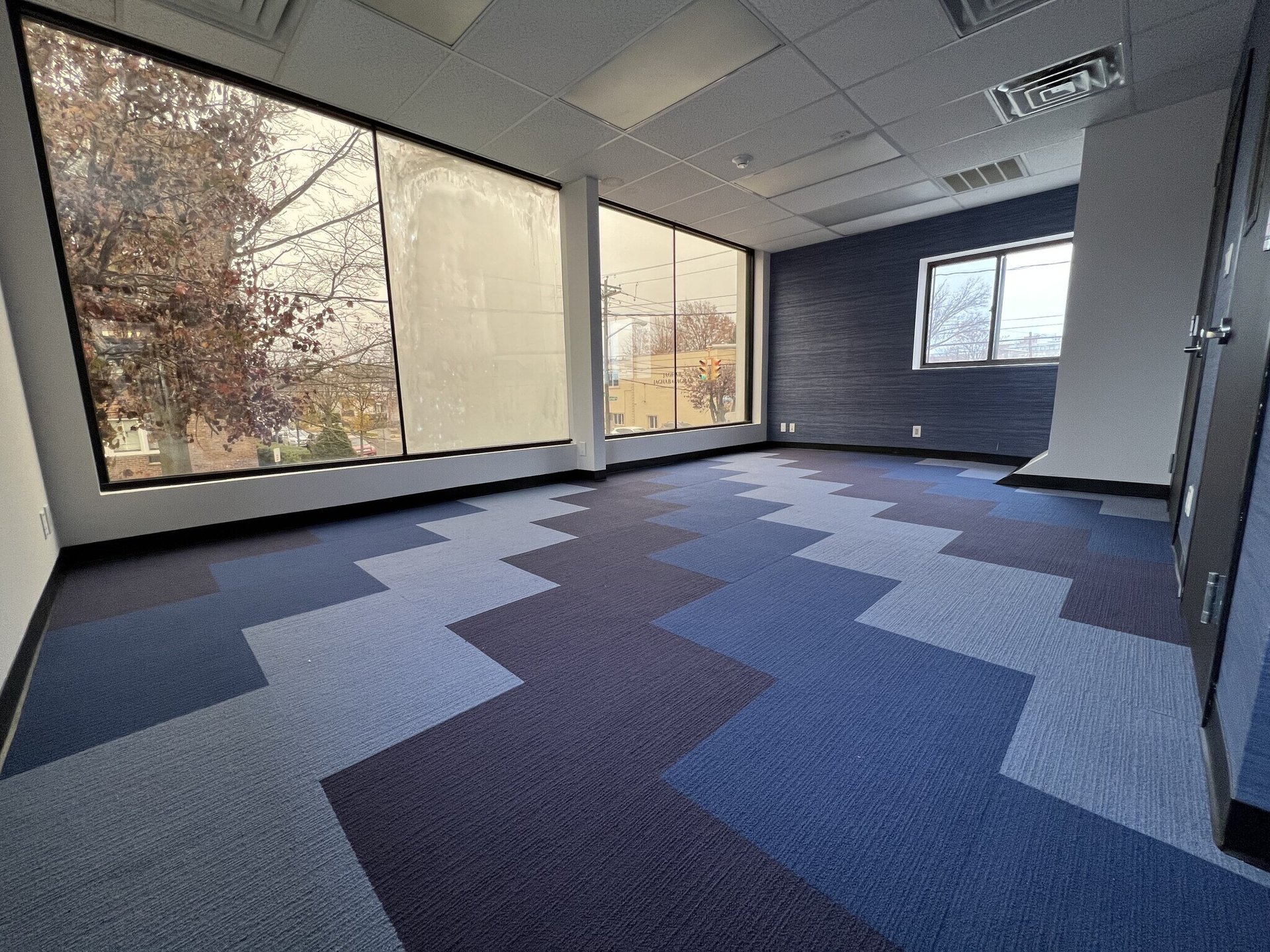 183 Mineola Blvd