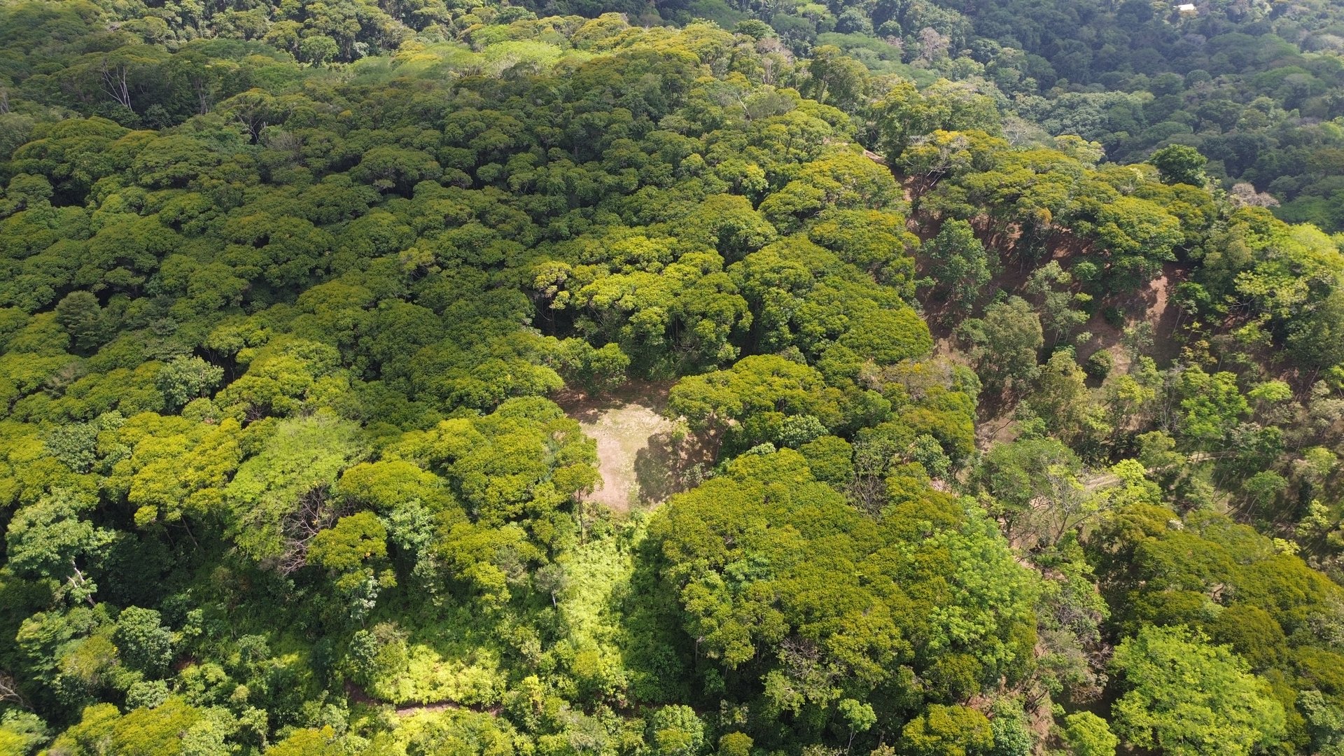 Your Private Jungle Retreat Just Minutes from Dominical