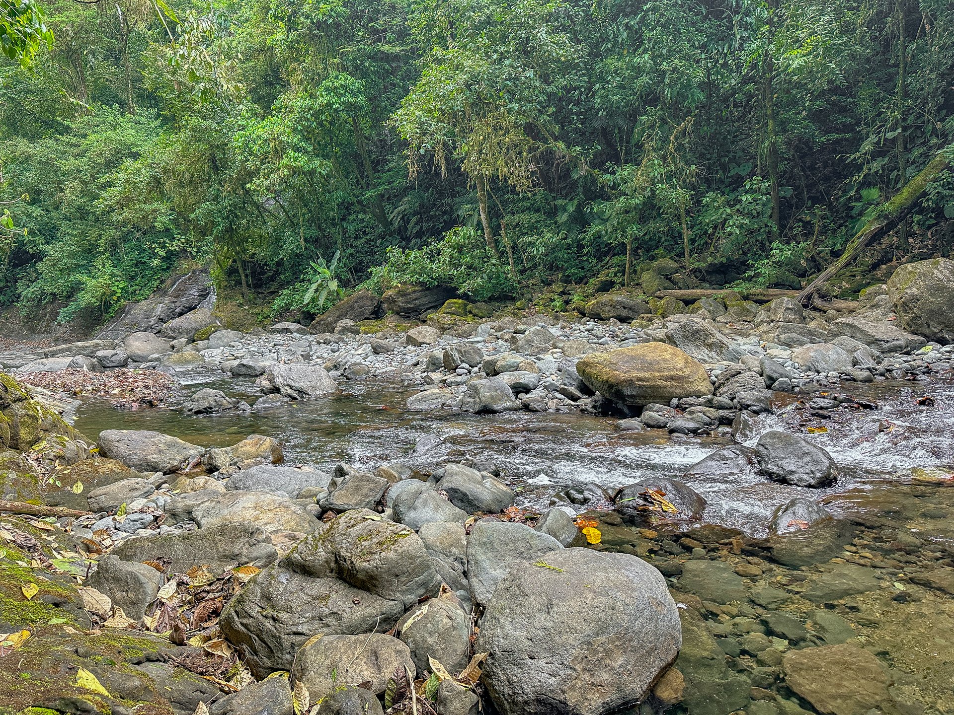 A Huge Rainforest, River & Waterfall Property With TWO Mountain & Jungle-View Luxury Homes on a Massive 4.93 Acre Lot – PLUS an Additional Plantel ready for Development