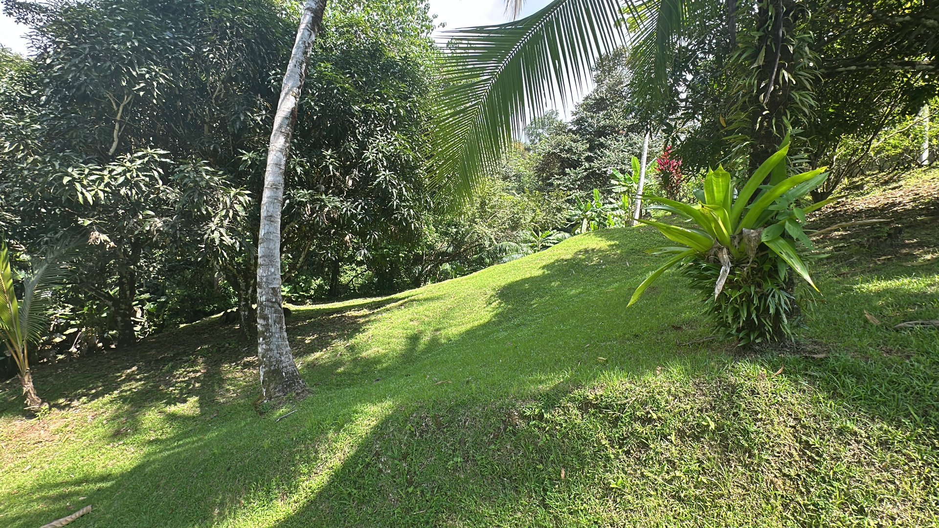Development Parcel Central Uvita with River!
