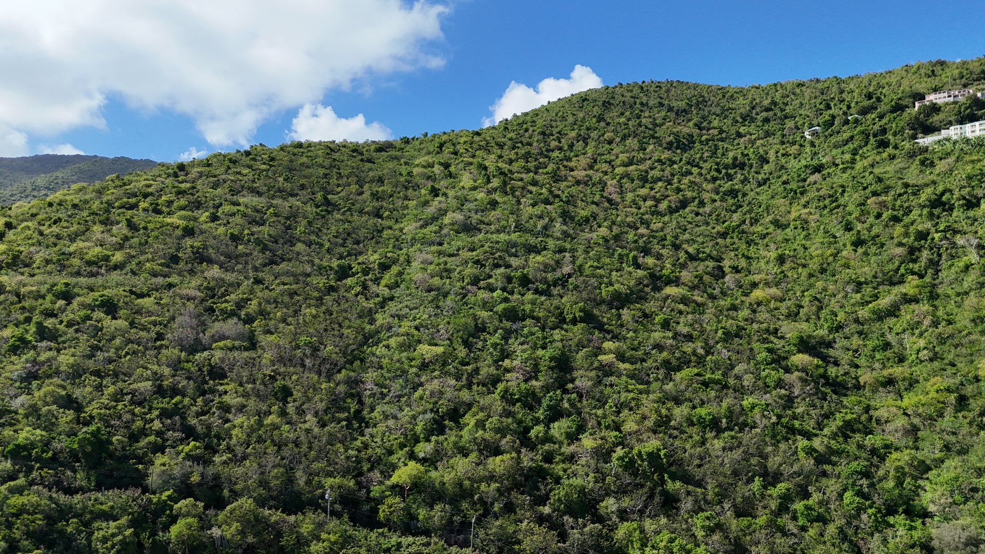 Marguerite Estate