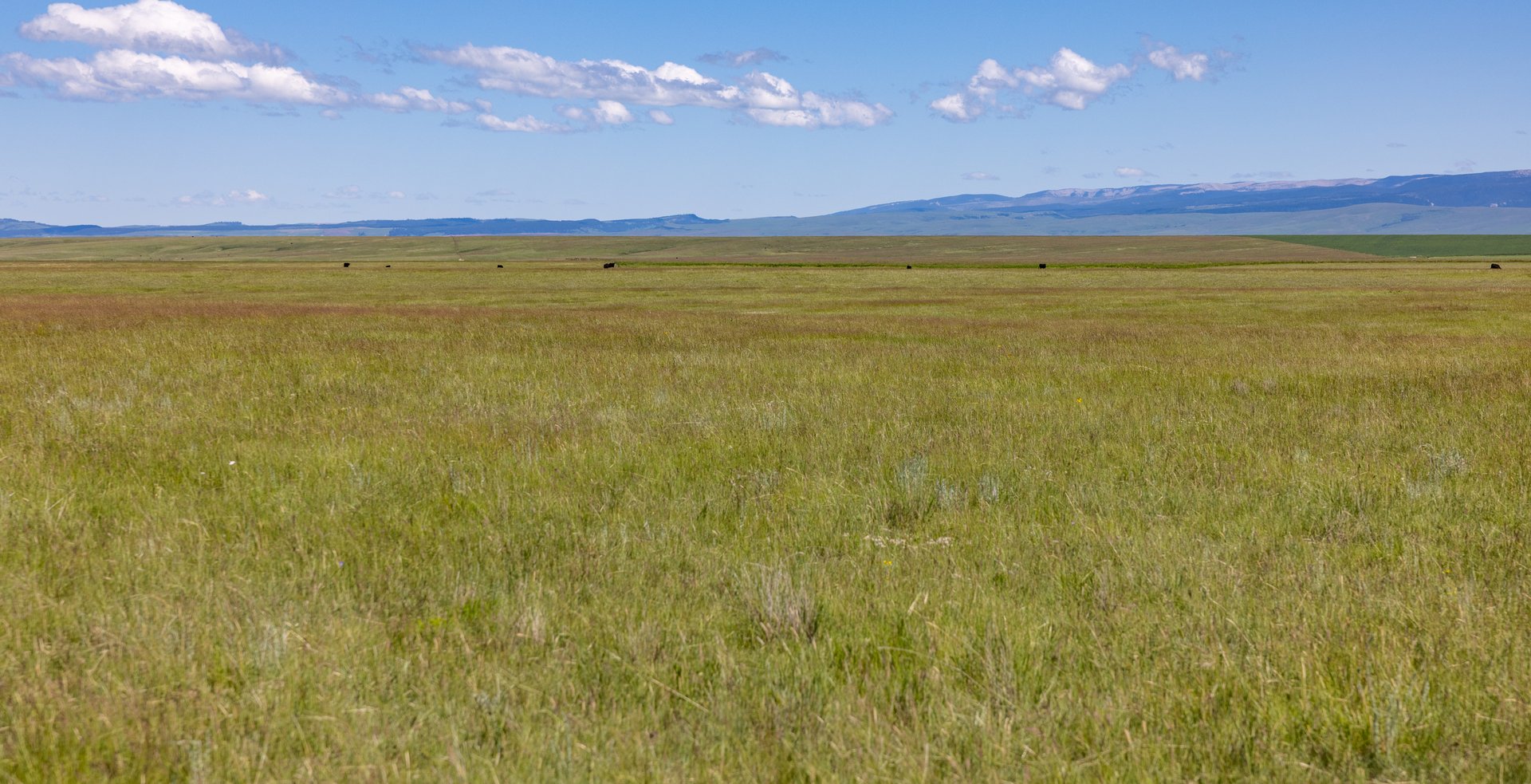 Hauck Coulee Ranch