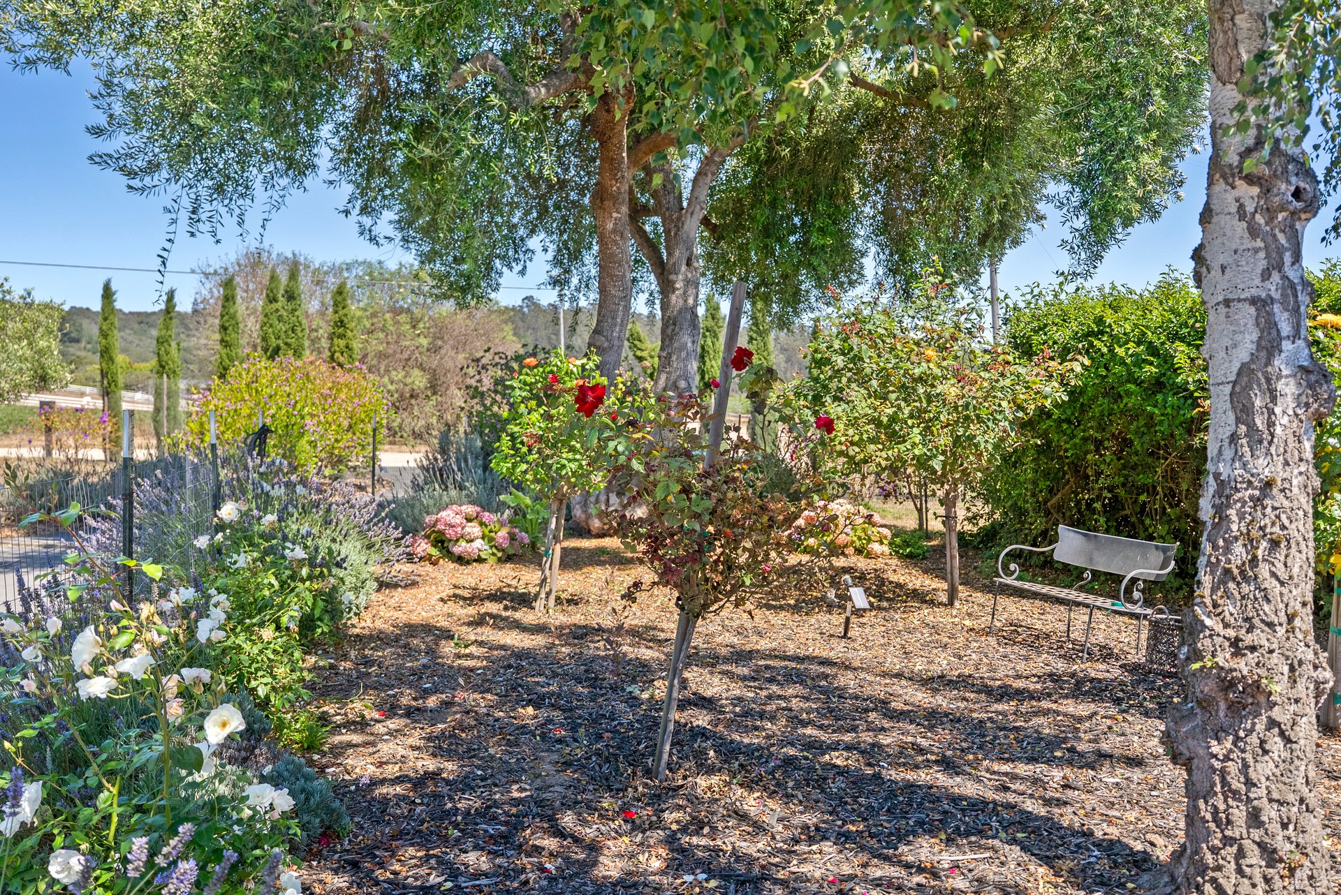 145 Coy Dr, La Selva Beach