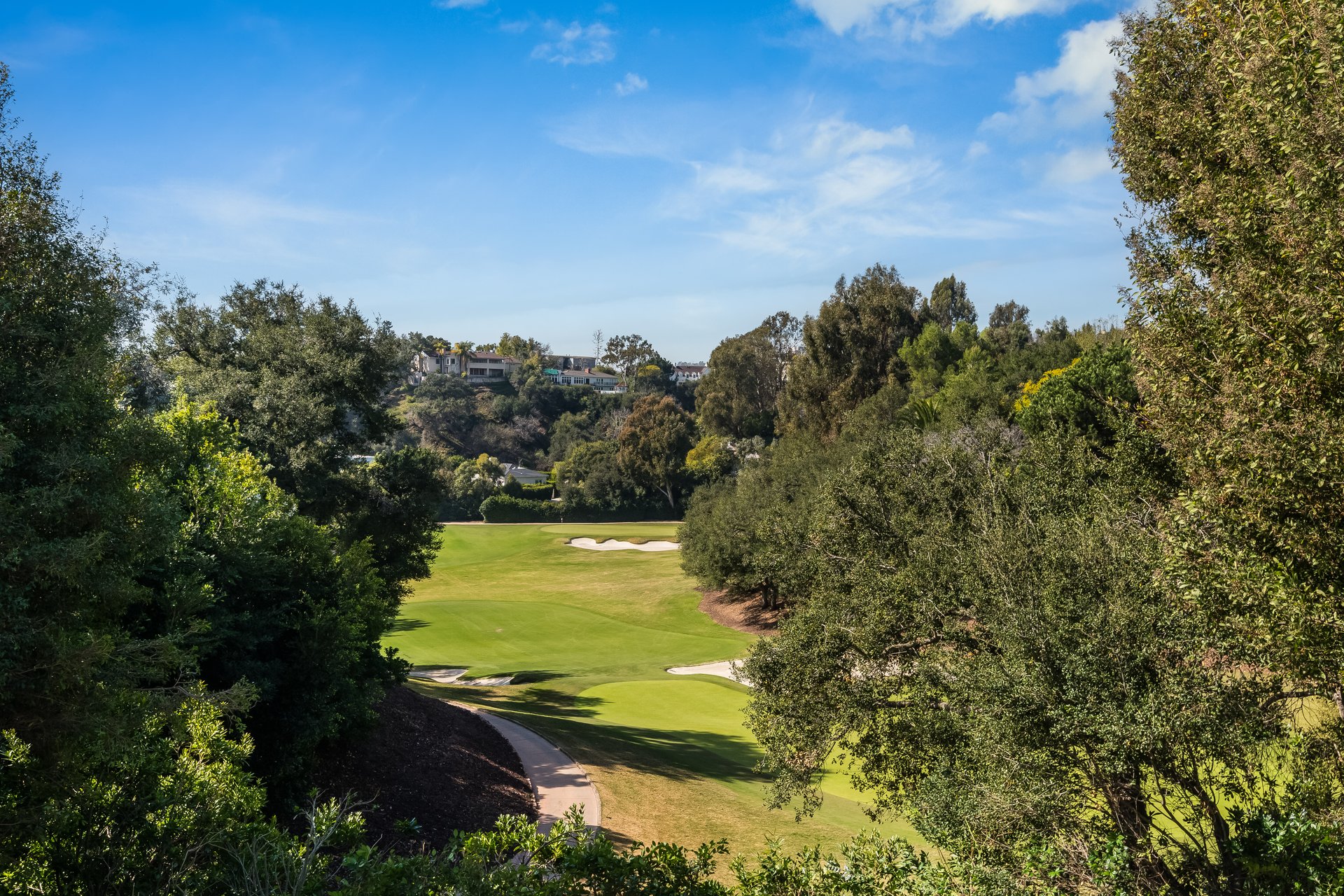 10835 Bellagio Rd