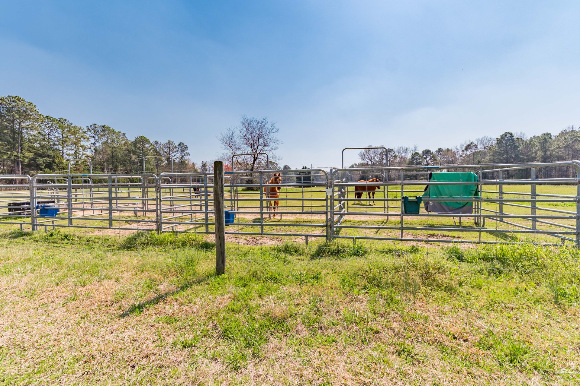 Watson Farms