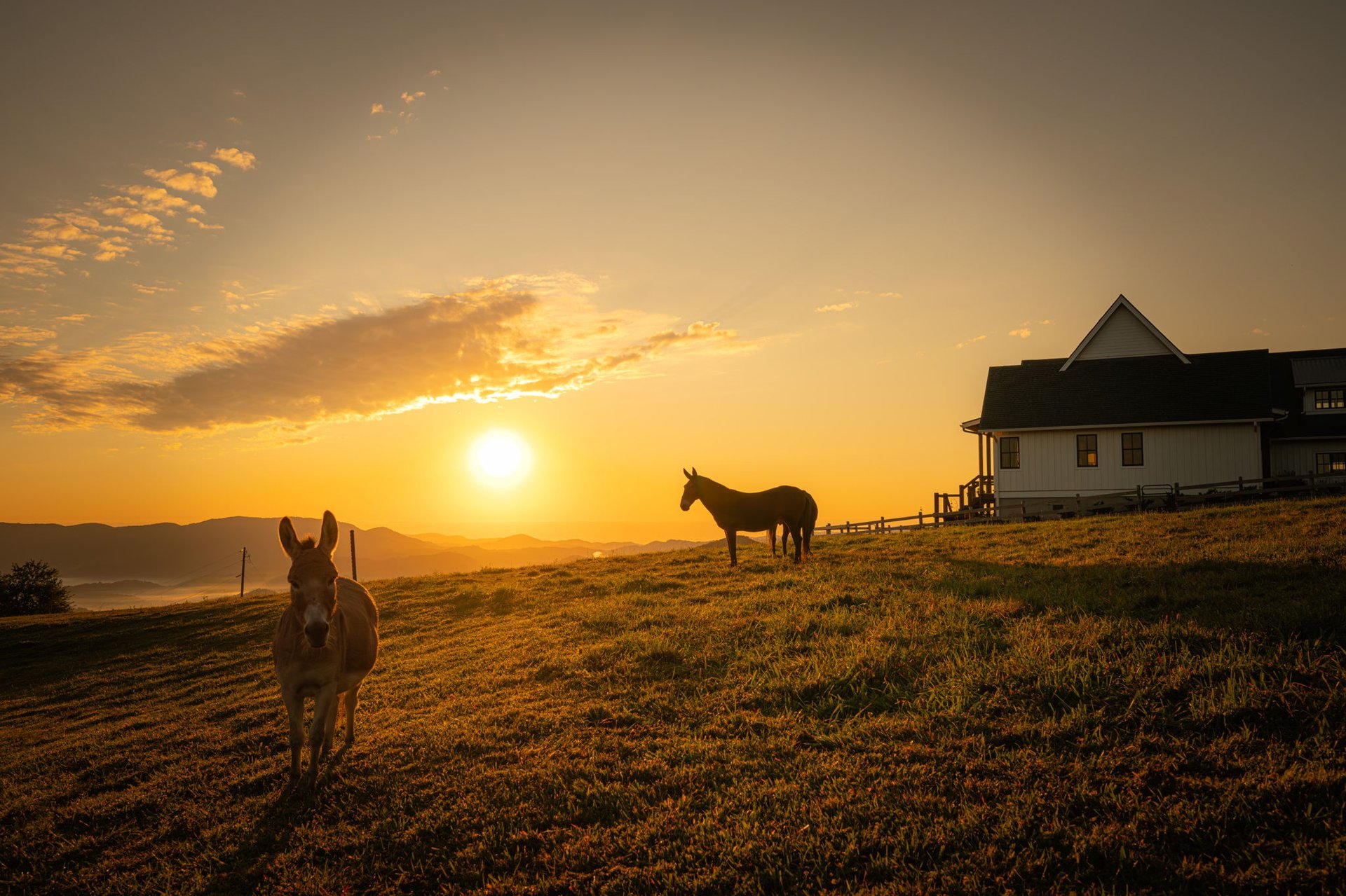 Sorrel Sky Farm Luxury Mountain Equestrian Estate