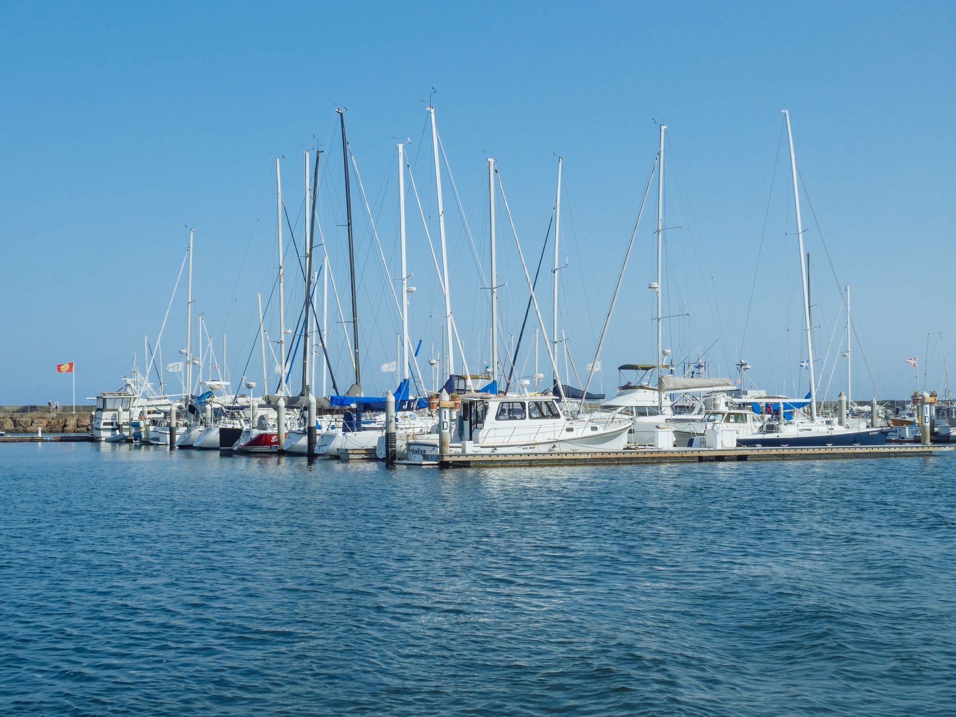 Santa Barbara marina with sailboats and motorboats moored along a pier.