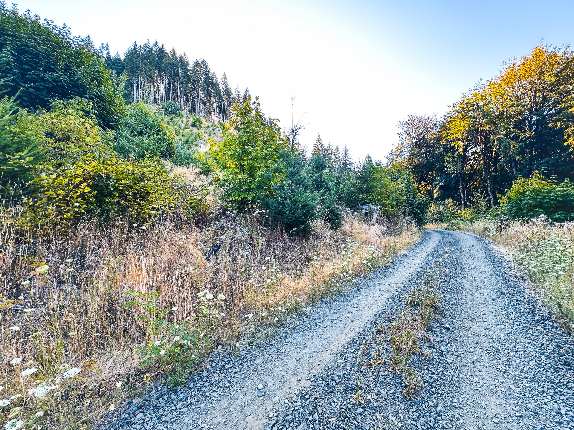Honey Grove Creek