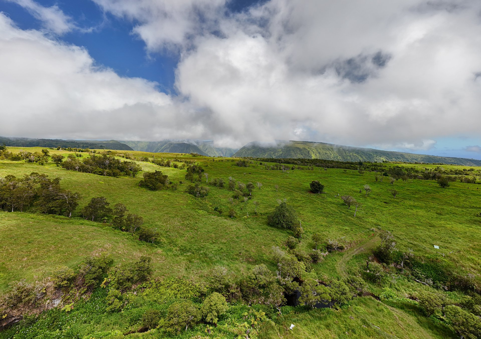 Waipi'o Valley Reserve