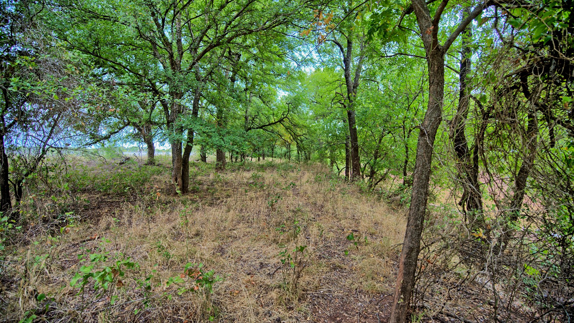 Cross Creek Ranch 
