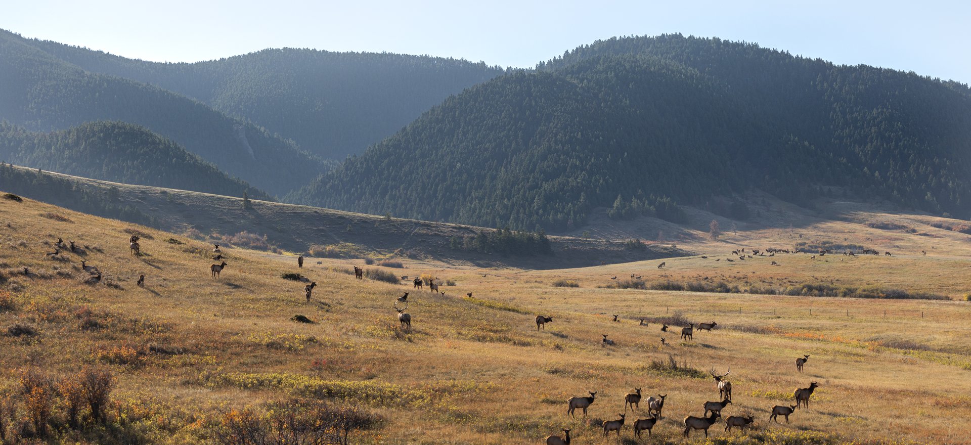 Box Elder Ranch