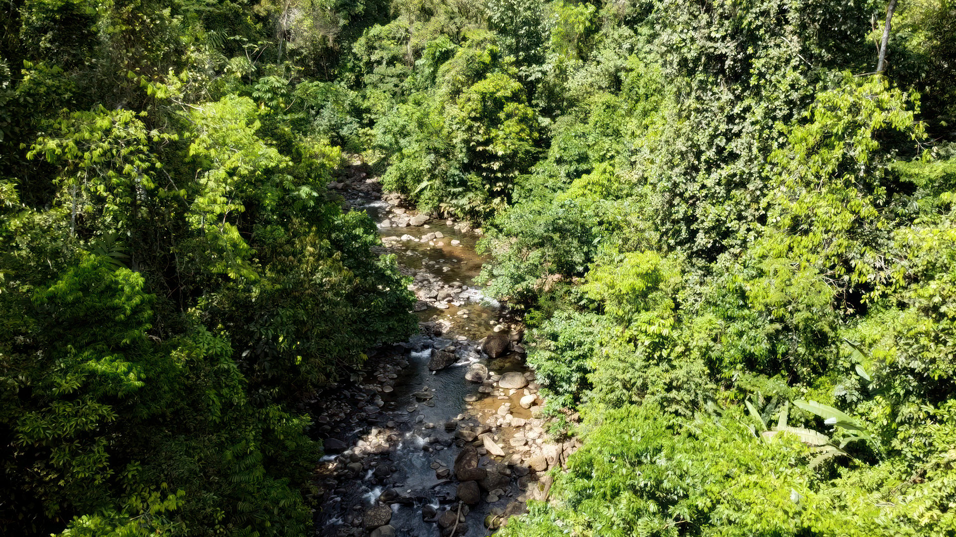 61 Acres of Pure Nature for Off-Grid Living & Conservation | Quepos