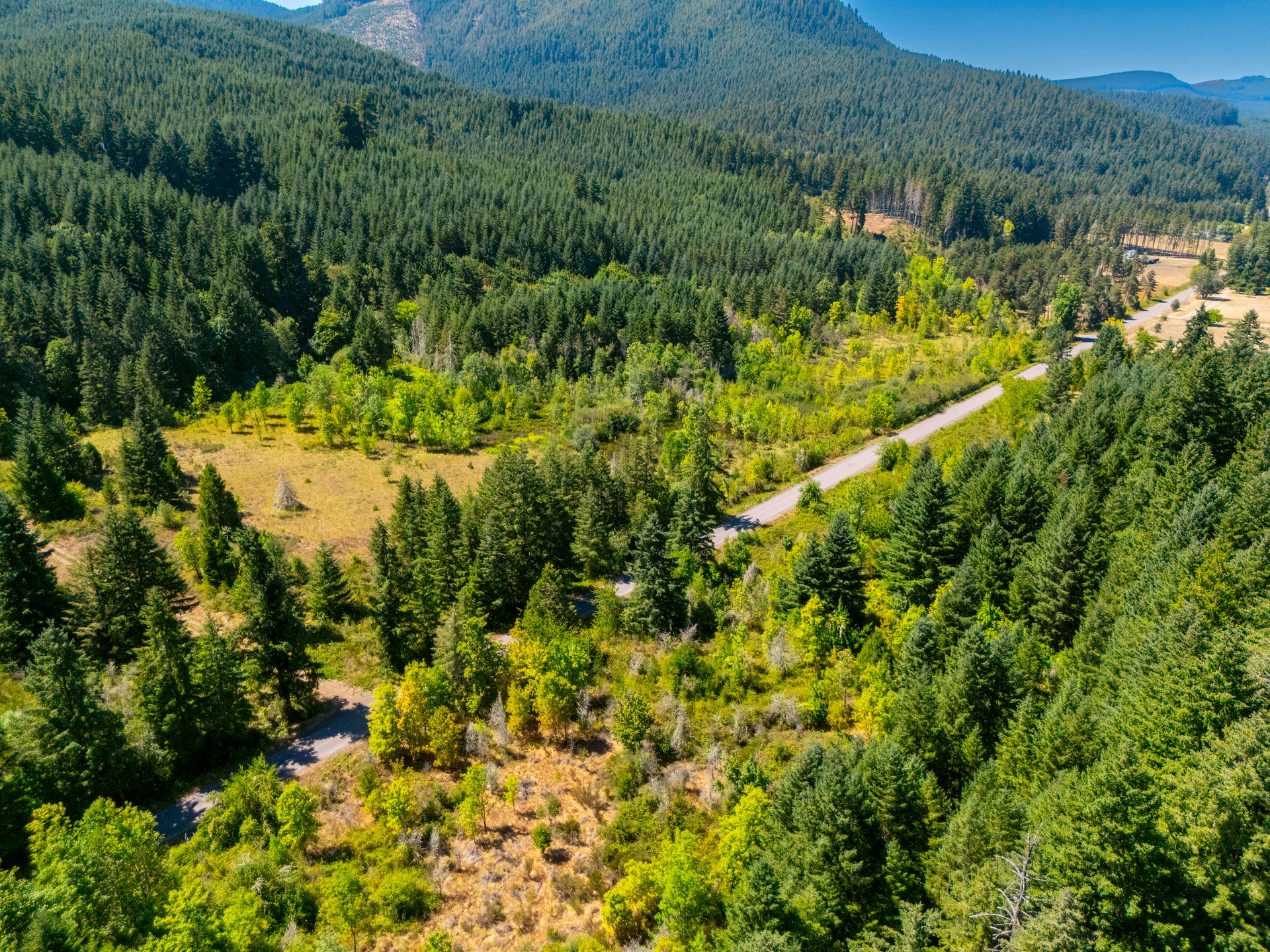 Coast Fork Woodland Meadows