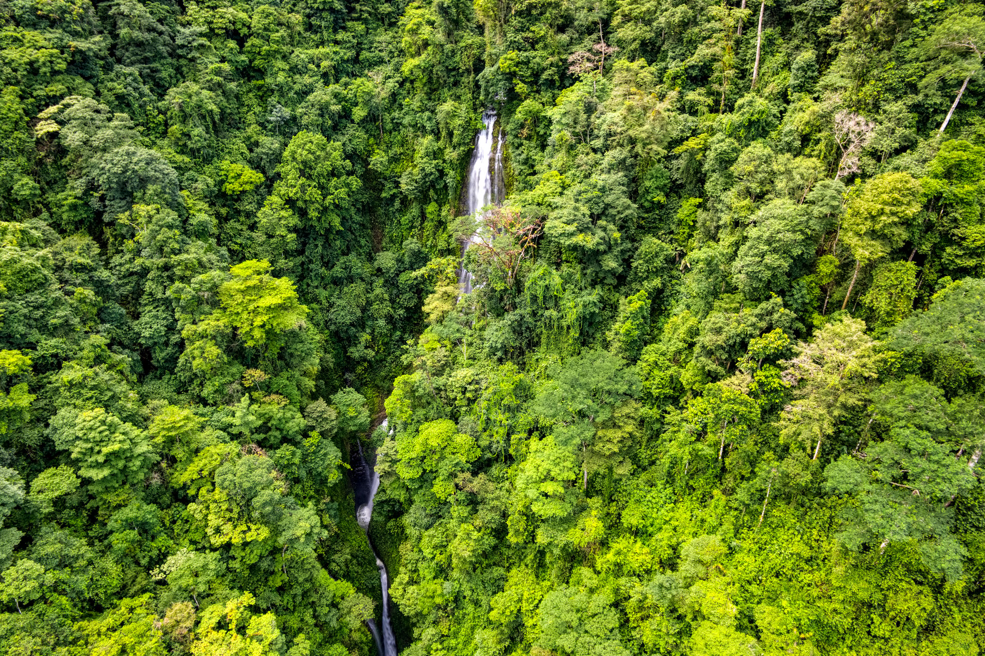 Once in a Lifetime Waterfall Farm in a Pristine Biological Corridor
