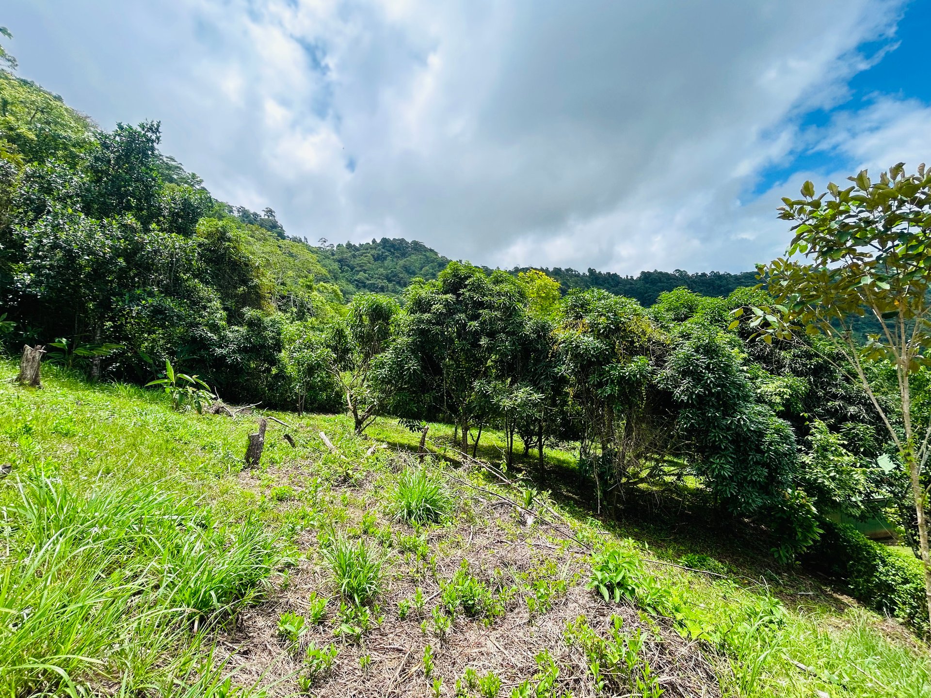 Ocean & Mountain View Lot with Multiple Building Sites-20 Minutes from Uvita