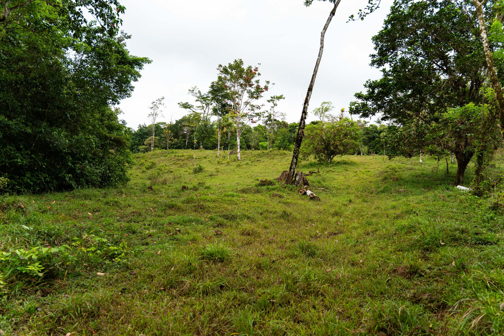 Finca Las Zompopas-Río Celeste | 113-Acre Biodiverse Property in Bijagua, Ideal for Eco-Tourism, Private Retreats, or Sustainable Development