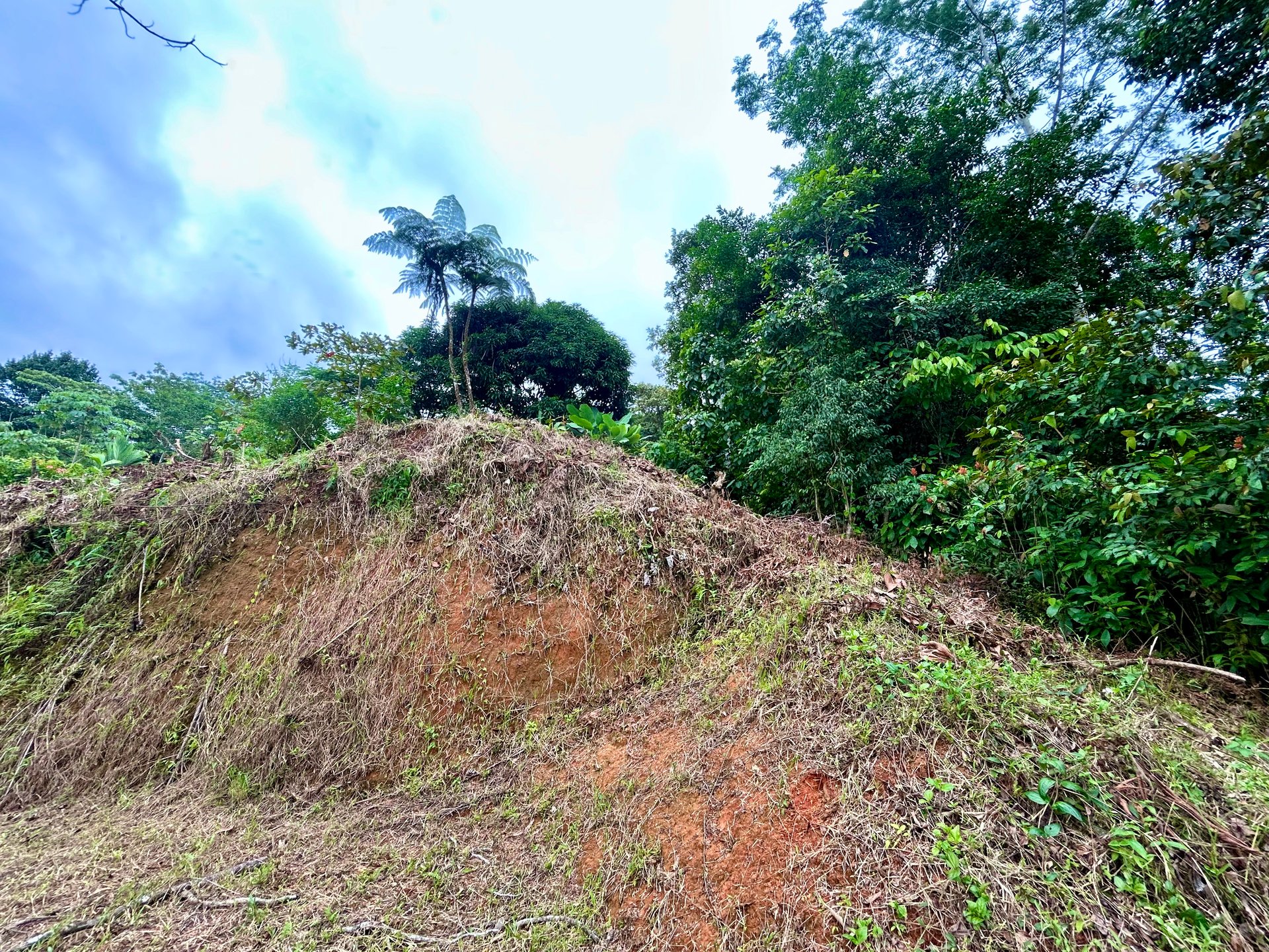 Beautiful Lot in Phase 9 Ojochal, Gated Communuity - NOW WITH LEGAL WATER