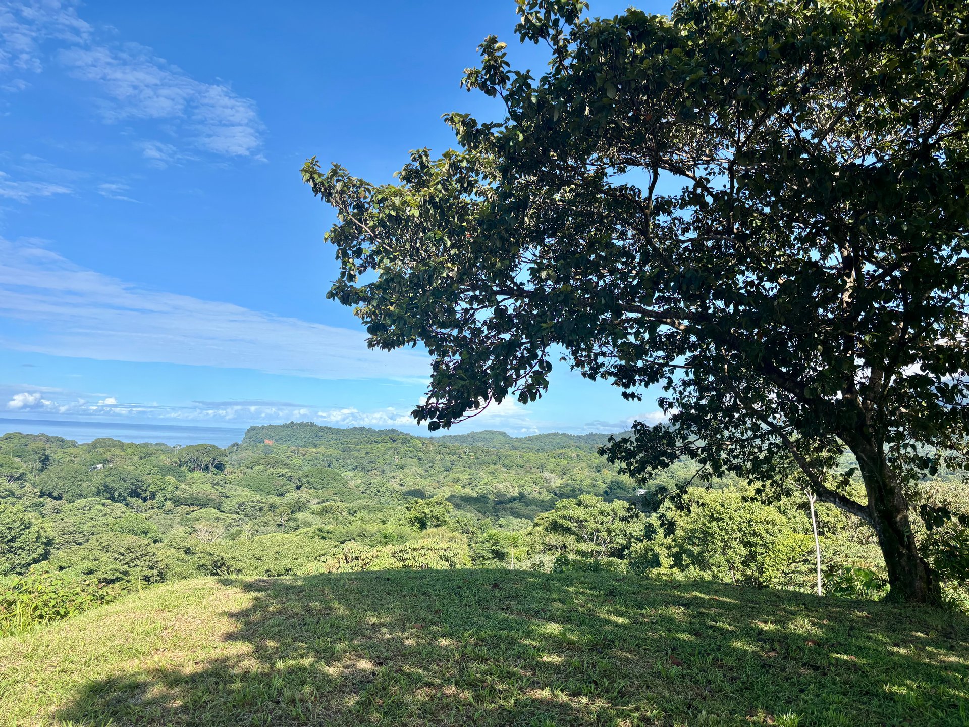 3.41 Acres, Ocean View Property In Ojochal With Legal Water!