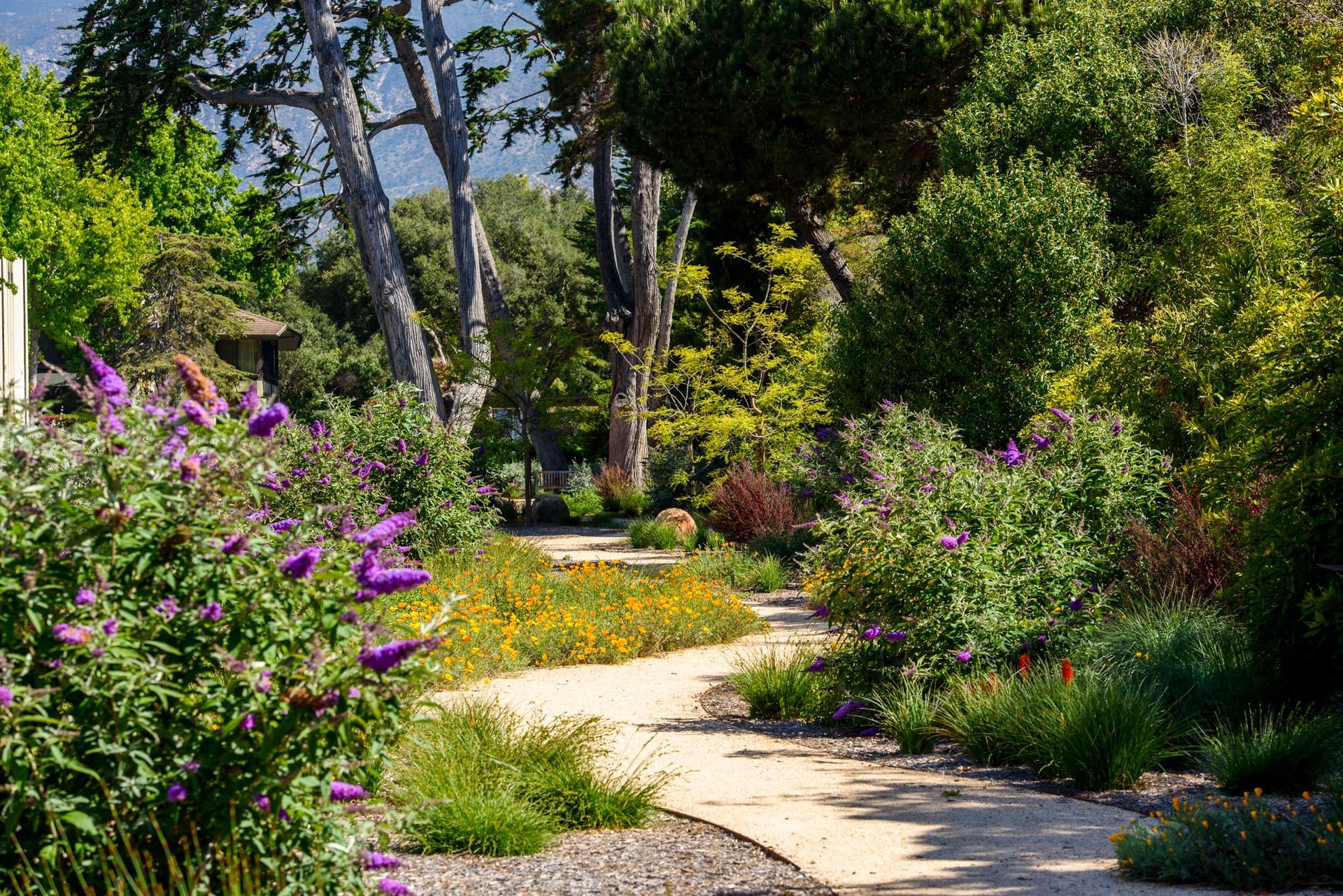 Idyllic Beachfront Living In Montecito