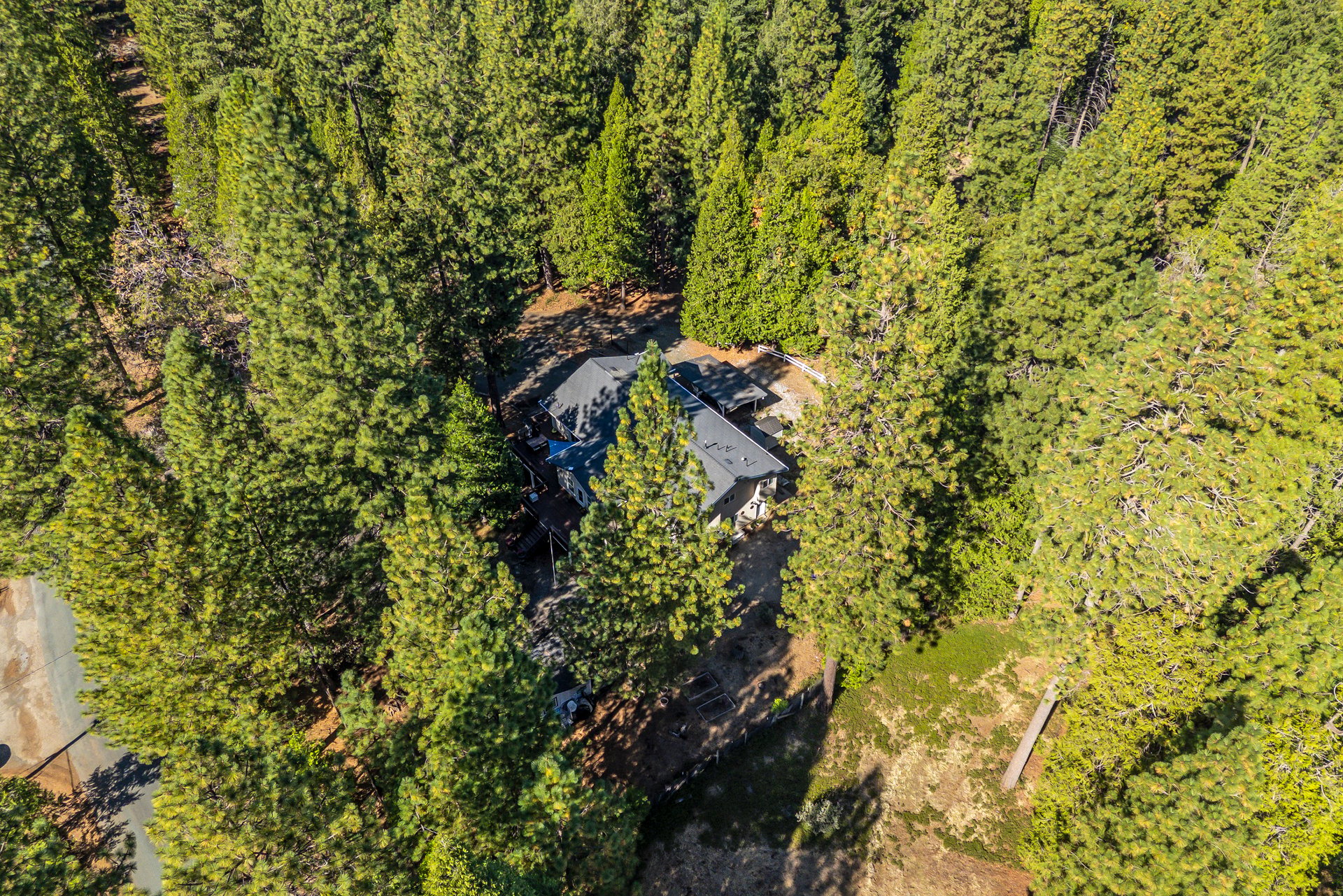7501 Slug Gulch Road