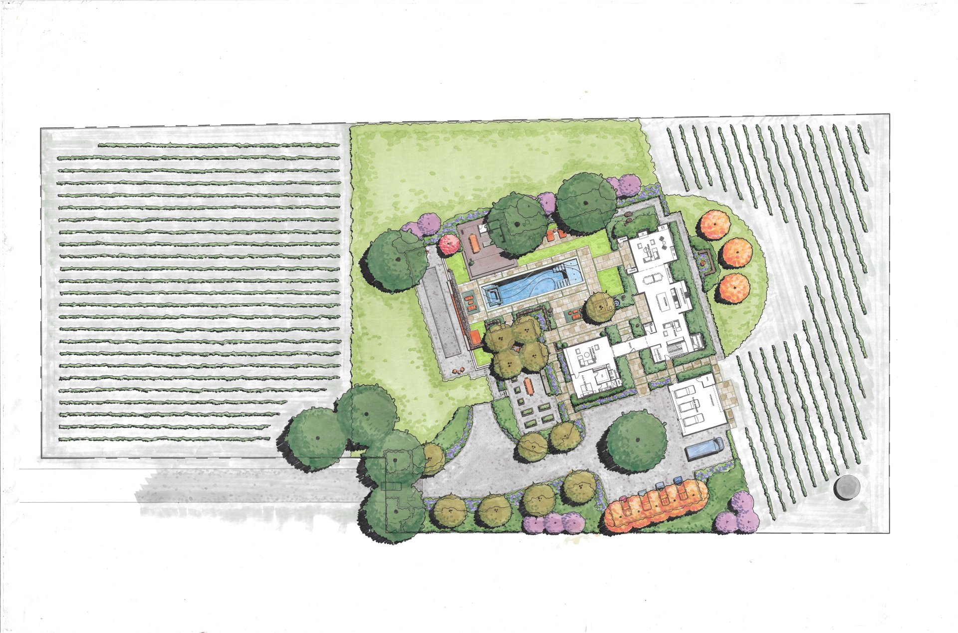 The Vineyard Estates | Cabernet