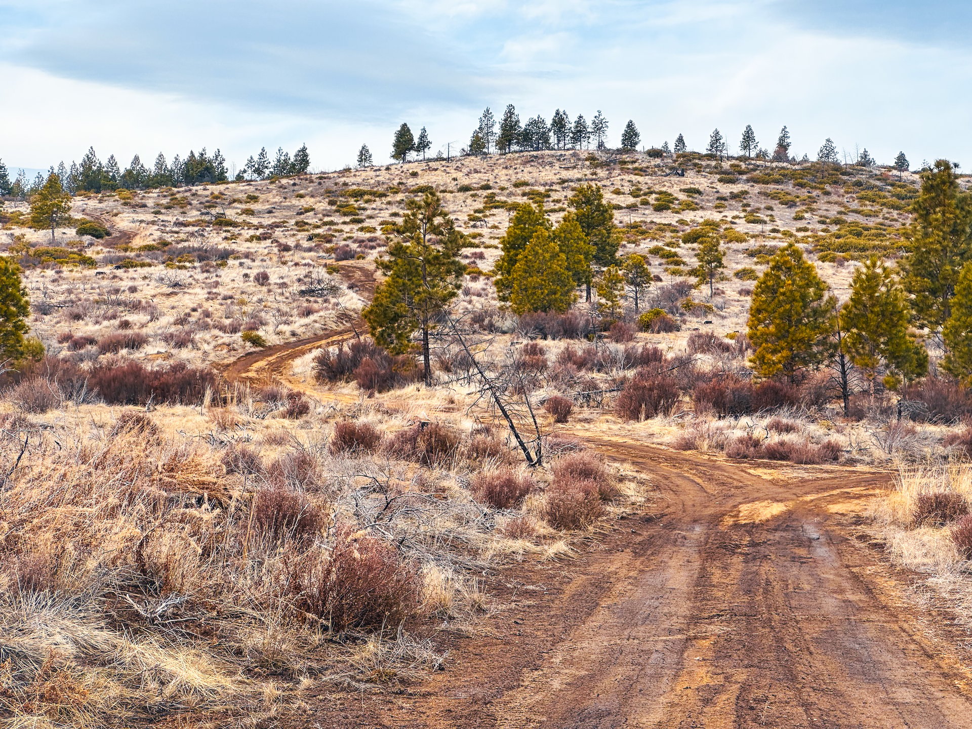 Klamath Basin