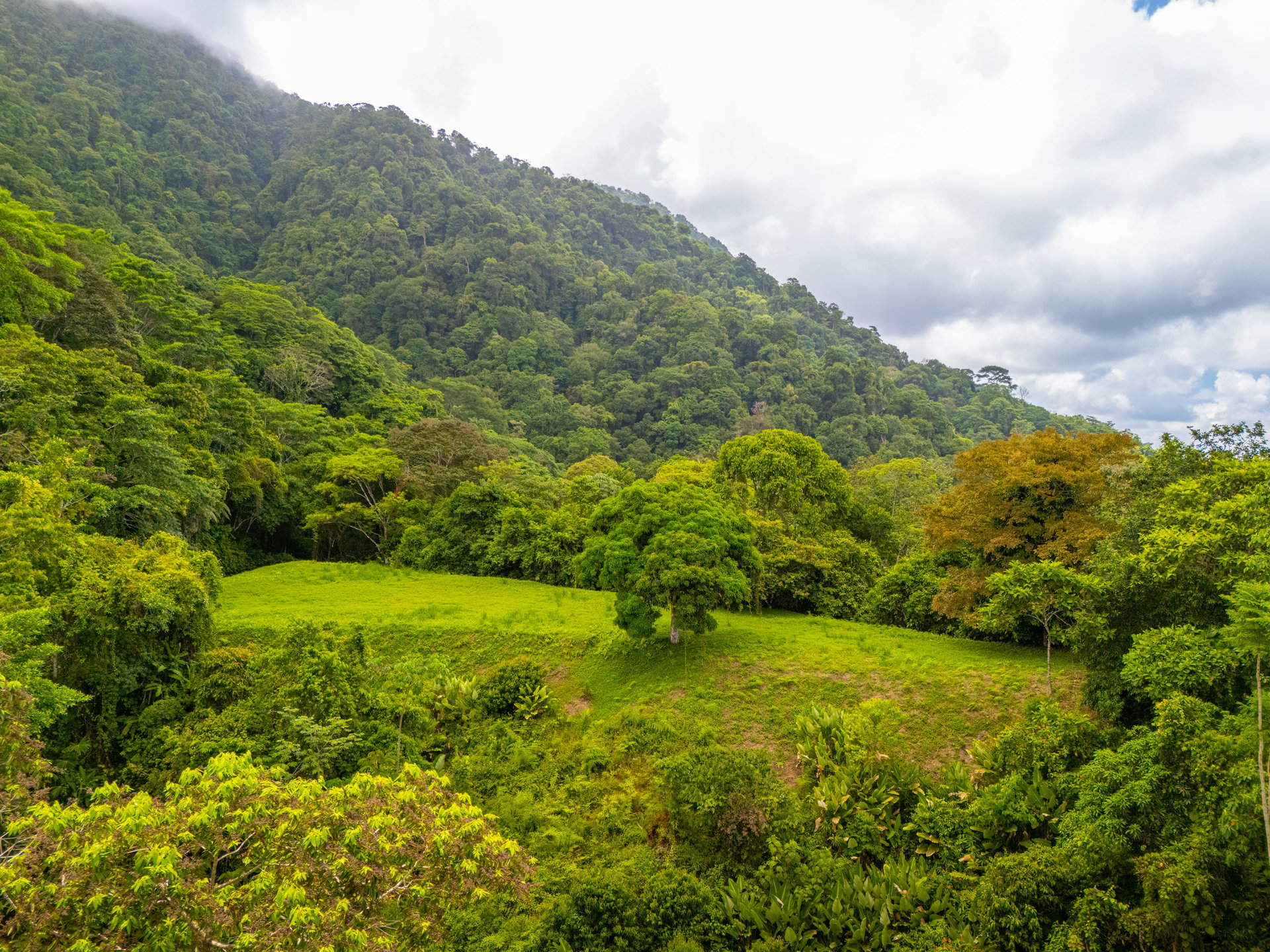 Tropical Paradise in Cascada Sándalo, Tres Ríos Ocean & Mountain Views | Gated Community | Abundant Nature