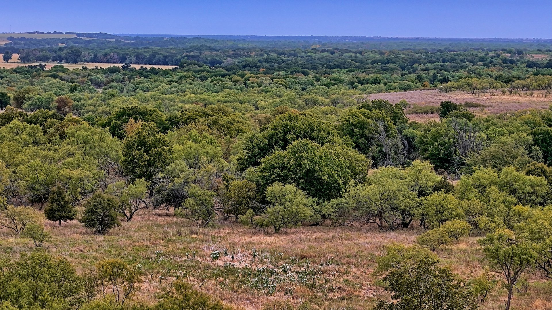 Cross Creek Ranch 