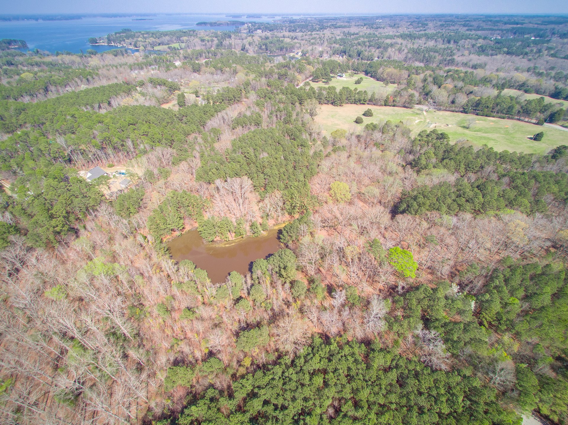 Watson Farms