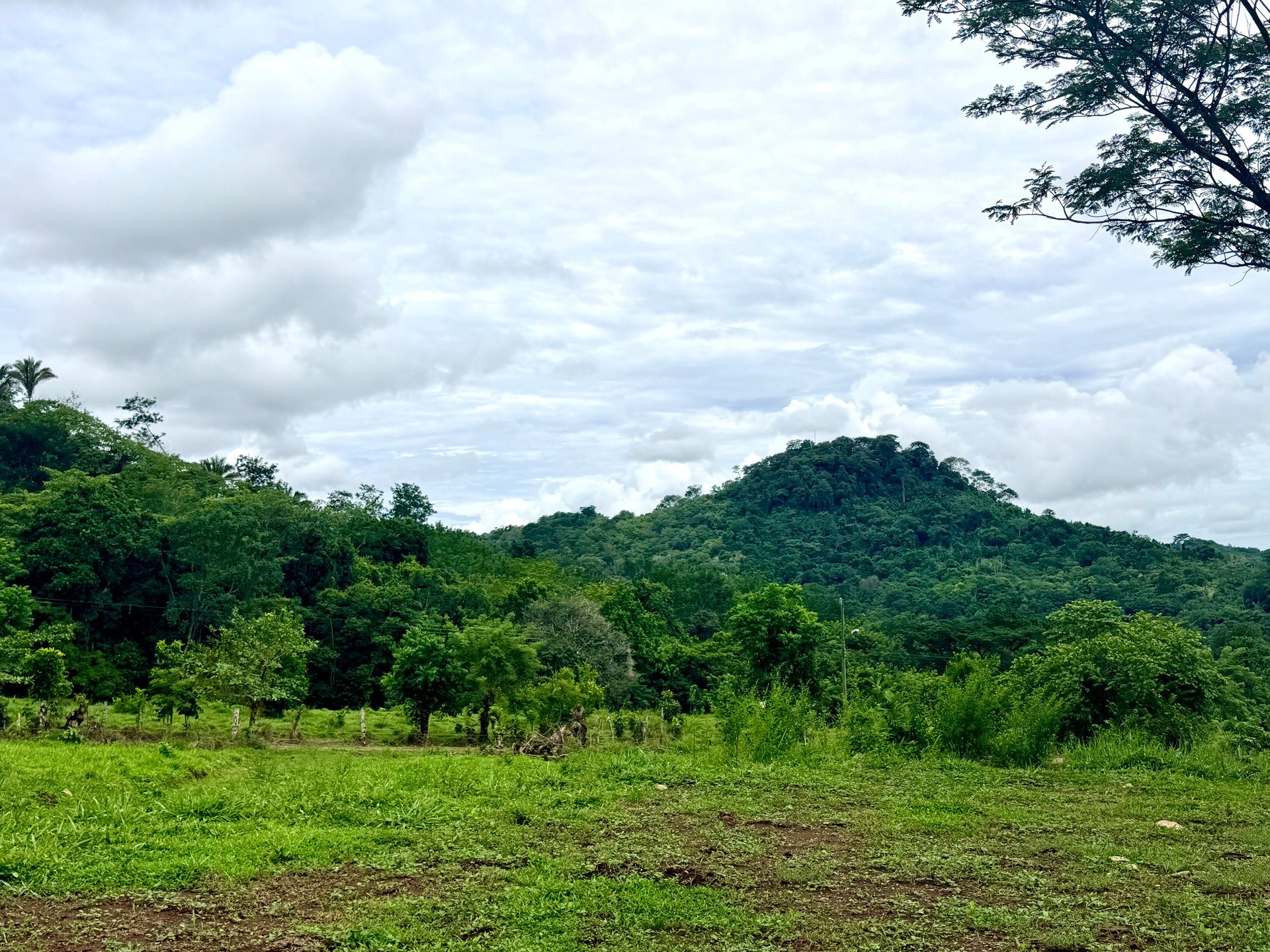 Ocean View Sanctuary in San Buenas – 4.94 Acres of Pastures & Easy Accessaccess