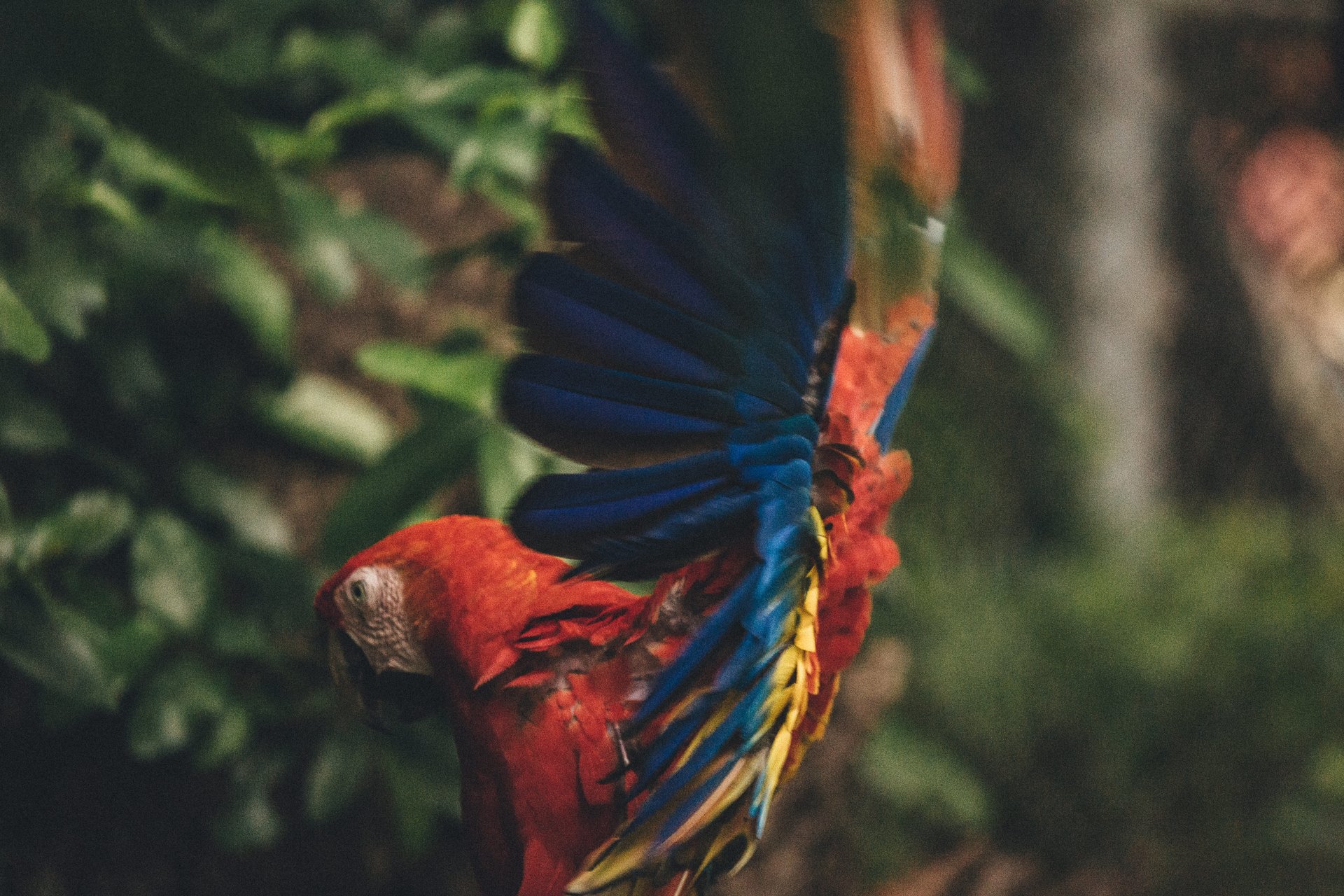  Punta Sabana & Mar Serena: Own the Last Great Coastline in Costa Rica!