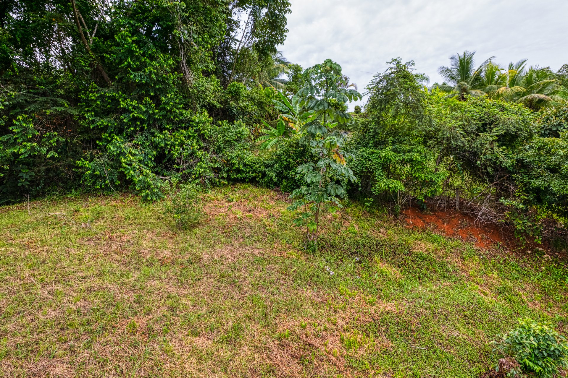 Highway Frontage Commercial & Residential Lot!! PRIME LOCATION! Ojochal