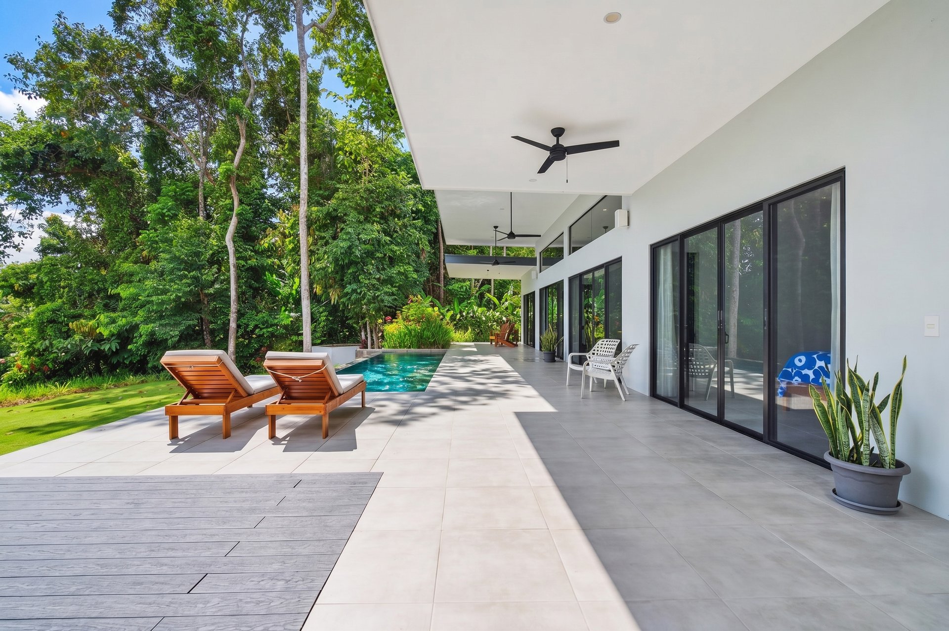 The Ocean View Sanctuary at Casa Delphines