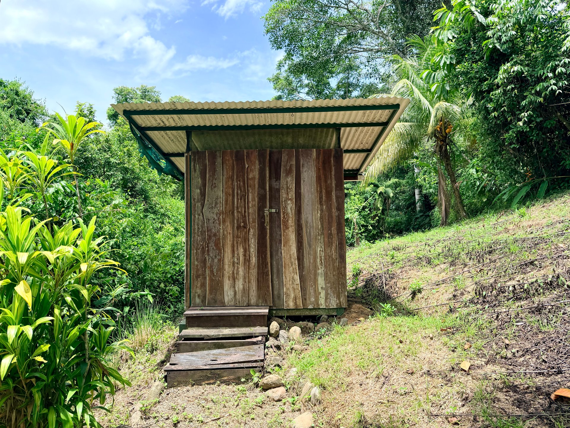 La Unión Road Investment Opportunity - 2.2 Acres with Existing Teak Cabin & River Access 
