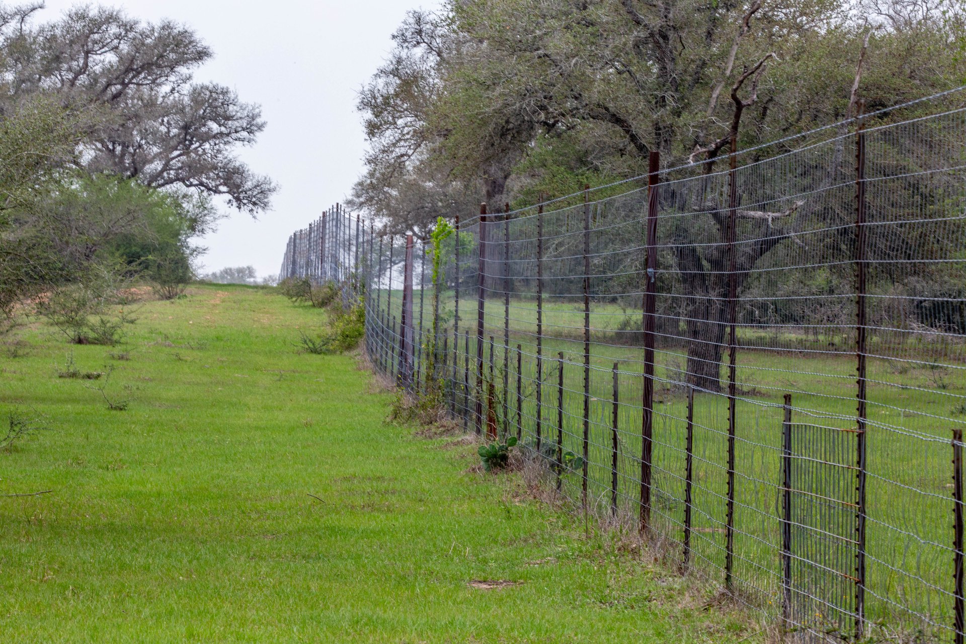 Five Mile Creek Reserve | 252.73± Acres-High Fence | DeWitt County, TX